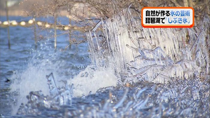 大自然がつくる芸術　琵琶湖で「しぶき氷」