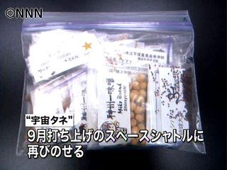 行方不明の「宇宙の種」再度打ち上げへ