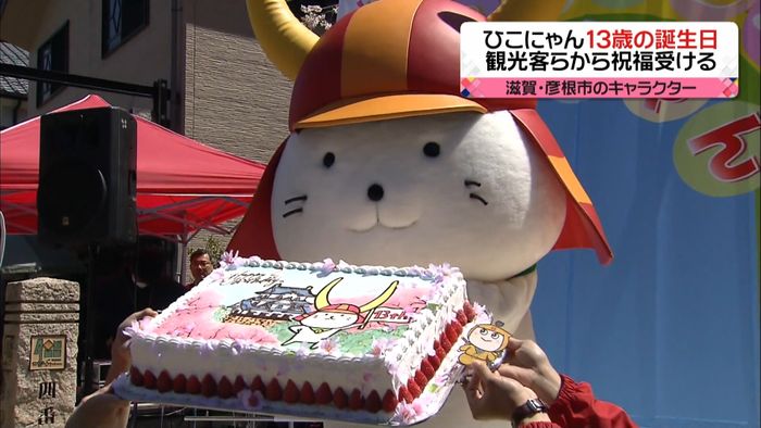彦根のひこにゃん きょう13回目の誕生日