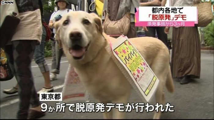 福島第一原発事故から3か月 都内でデモ