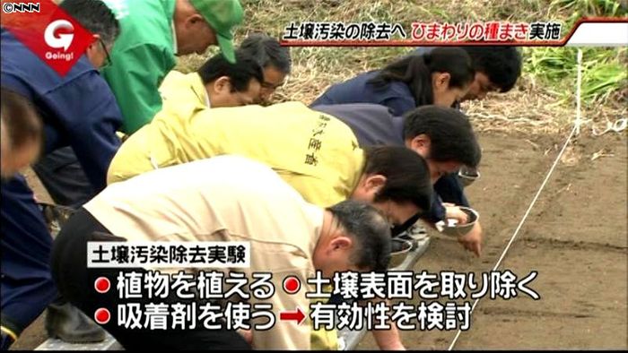 土壌の汚染除去の実験始まる 福島・飯舘村