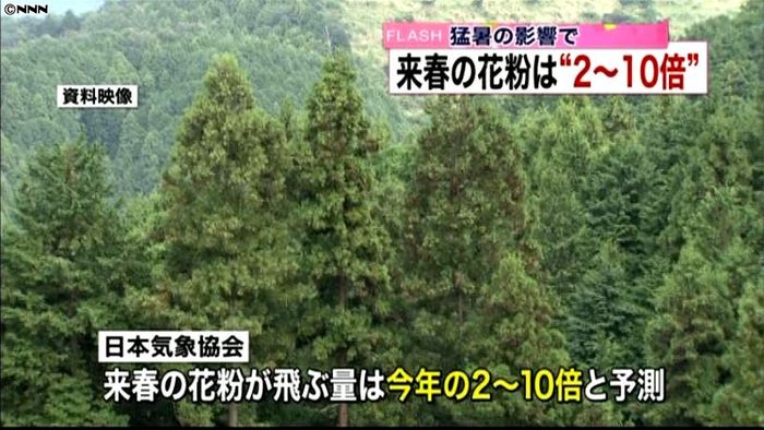 来春の花粉飛散量、今年の2~10倍の予測