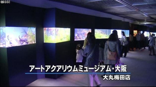 ユニークな水槽に世界中の魚 大丸梅田店