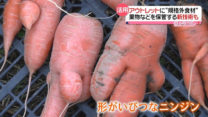 フードロス削減へ“規格外食材”に注目