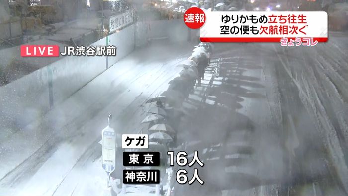 大雪:各交通機関に影響 各地でケガ人も