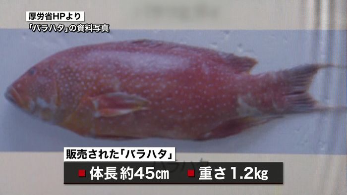食中毒恐れも…有害な魚を誤って販売 築地