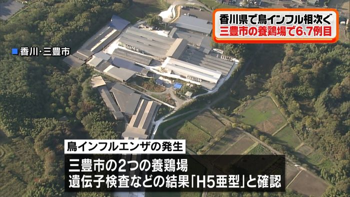 香川県 養鶏場で6、7例目鳥インフル確認