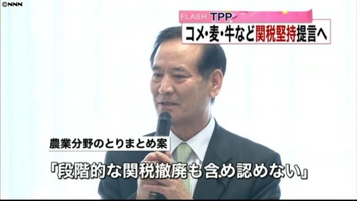 TPP 米、麦、牛肉など関税堅持提言へ