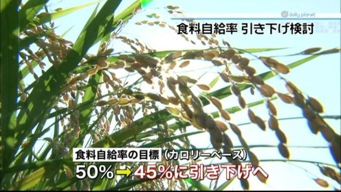 食料自給率の目標、45%への引き下げ検討