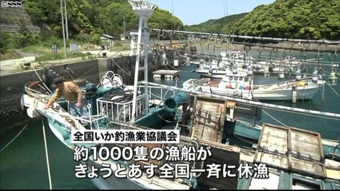 円安で燃料費高騰…イカ釣り漁船、一斉休漁