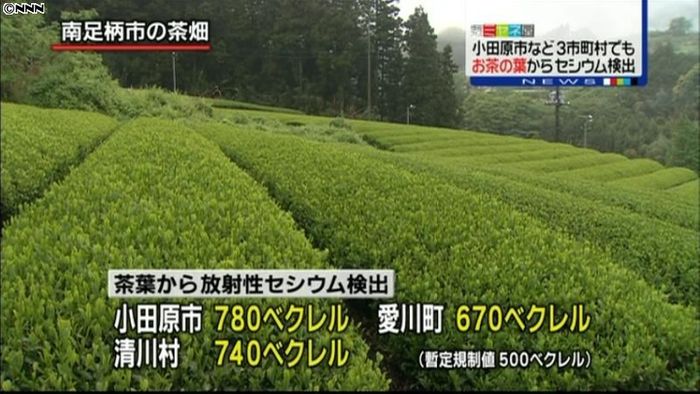 3市町村でも茶葉から基準超えるセシウム