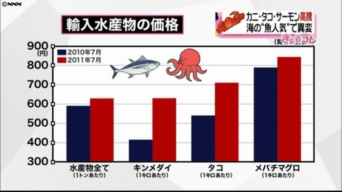 円高なのに…魚の輸入価格が軒並み上昇