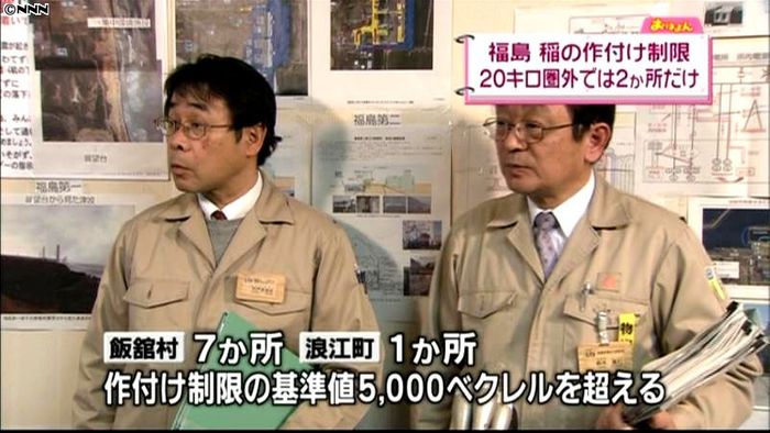 飯舘村などの土壌 稲の作付け制限すべき値