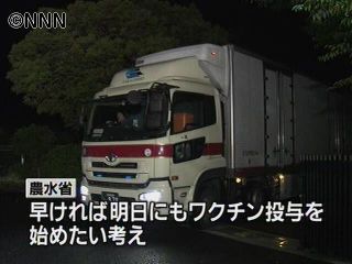 口蹄疫ワクチン投与21日にも開始~農水省