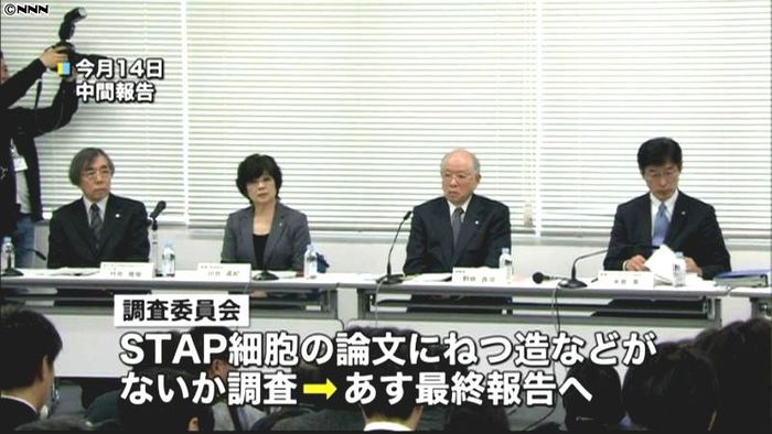 理化学研究所、調査の最終報告を発表へ