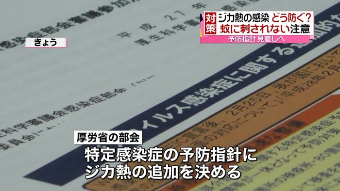 国内でジカ熱感染者 予防指針見直しへ
