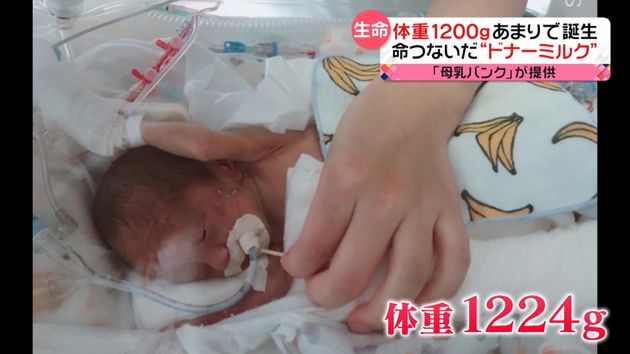 母乳バンク 綱渡りの運営 小さく生まれた赤ちゃんの命を救う ドナーミルク 進まない周知と普及