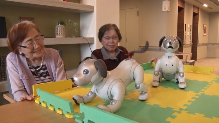 老人ホームで「aibo」を飼ってみると…