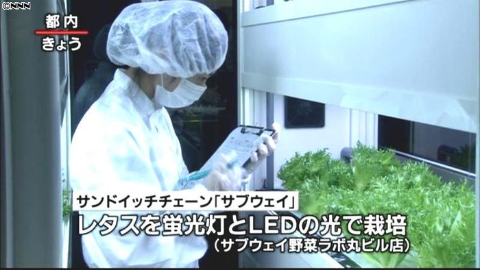 サブウェイ、都内の新店舗に野菜工場を併設