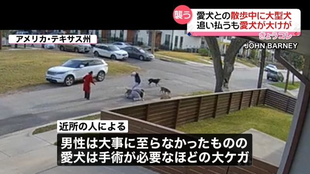 散歩中に愛犬 大けが 大型犬が襲う 米