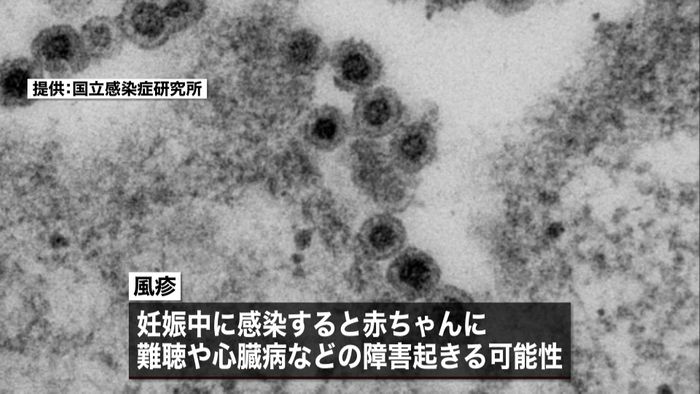 妊娠中に風疹 母親らが予防接種を呼びかけ