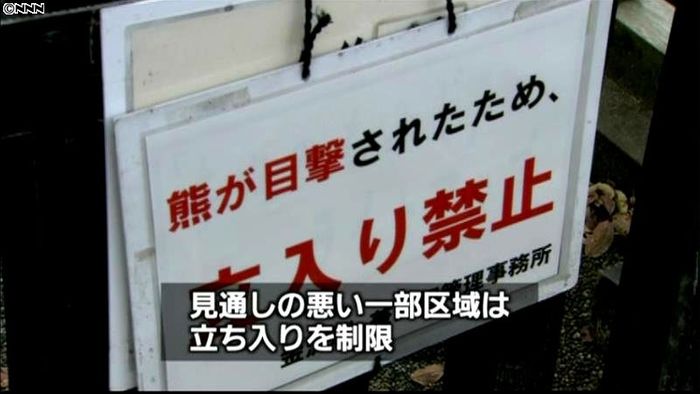 クマ捜索再開も、痕跡見つからず打ち切りに