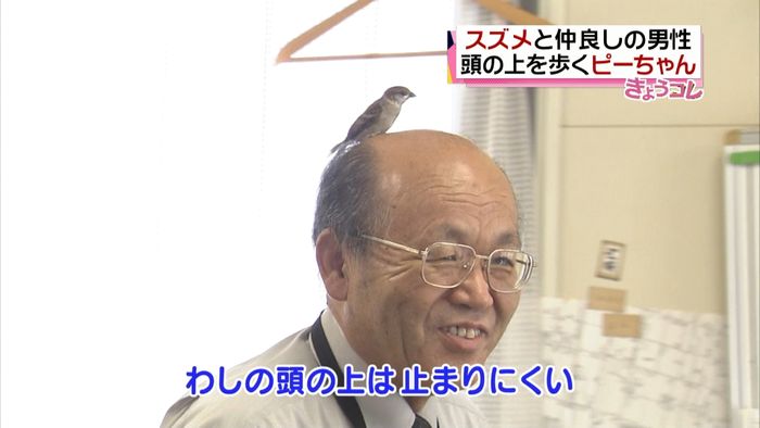 寝ても起きても一緒♪スズメと仲良しの男性