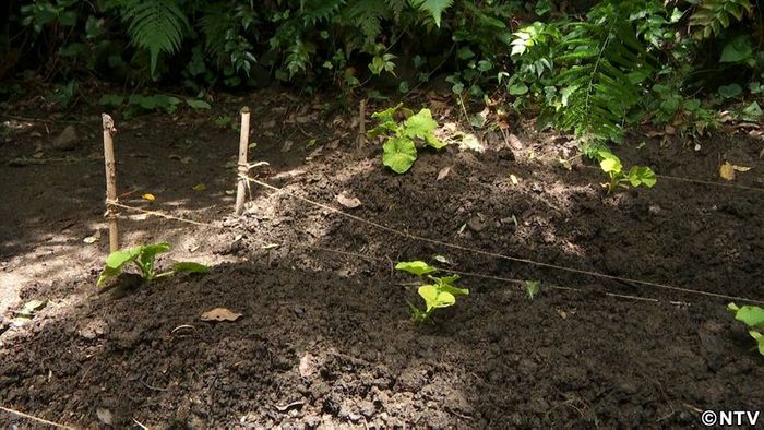 国分太一後輩の言葉に「すごく大事」と興奮