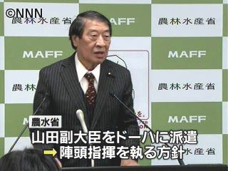 “クロマグロ”会議に農水副大臣を派遣へ