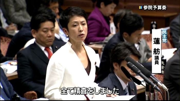 参院予算委 蓮舫氏“地方創生”事業で追及