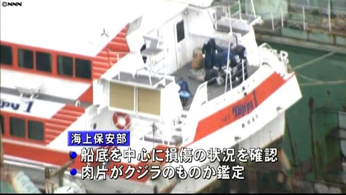 “クジラ”と衝突の高速船を陸揚げ 鹿児島