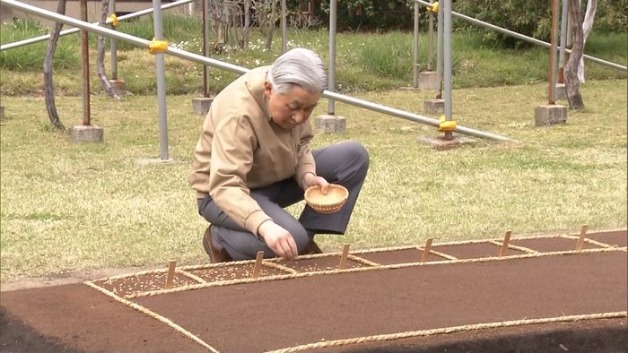 陛下 天皇として皇居で最後の「お手まき」