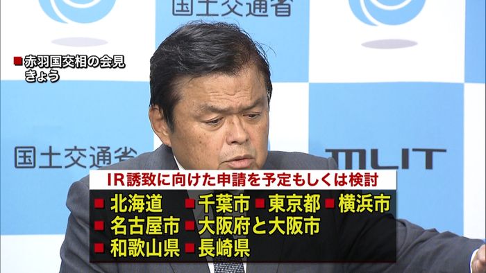 IR誘致の申請 8地域が予定もしくは検討