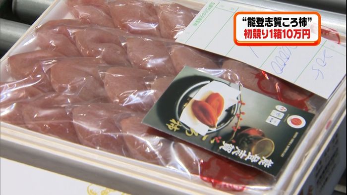1箱10万円も「能登志賀ころ柿」初競り