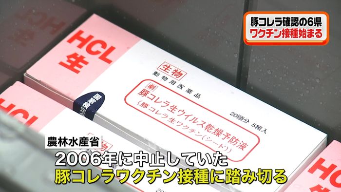 豚コレラ感染予防 6県でワクチン接種開始