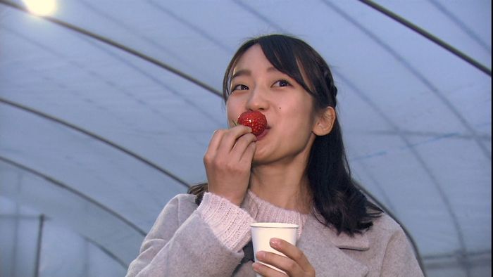 ひんやり非日常「夜のいちご狩り」の魅力