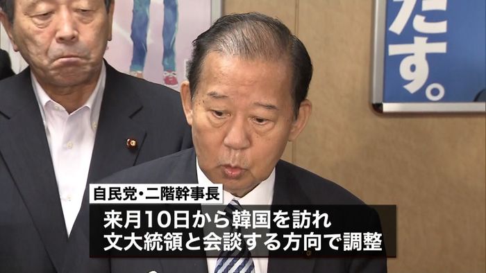 二階幹事長来月訪韓へ 文大統領と会談調整