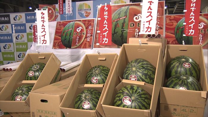 最高値2玉30万円!らいでんスイカ初セリ