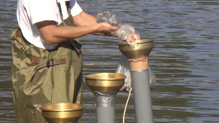 悪臭の池で水質浄化作戦! 鍵はセラミック
