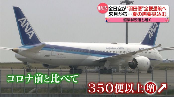 来月から…全日空が“羽田便”全便運航へ　夏の需要見込む