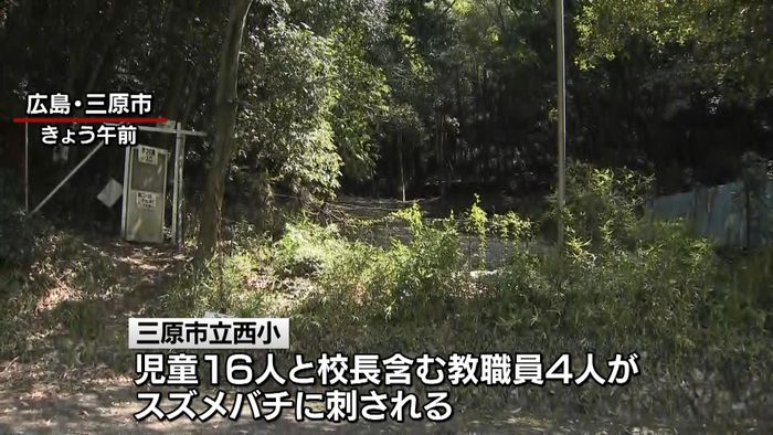 小学生ら２０人スズメバチに刺される　広島