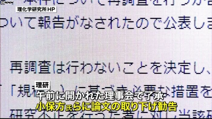 STAP問題、再調査せず 理研が決定