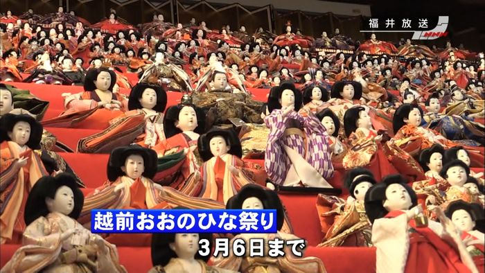 ひな人形 市内各所に3000体 大野市