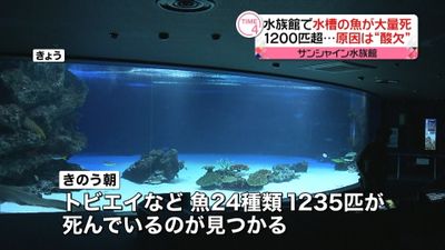 サンシャイン水族館で魚大量死 酸欠原因か