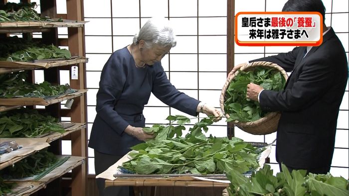 皇后さま最後の「養蚕」 蚕に桑の葉与え…