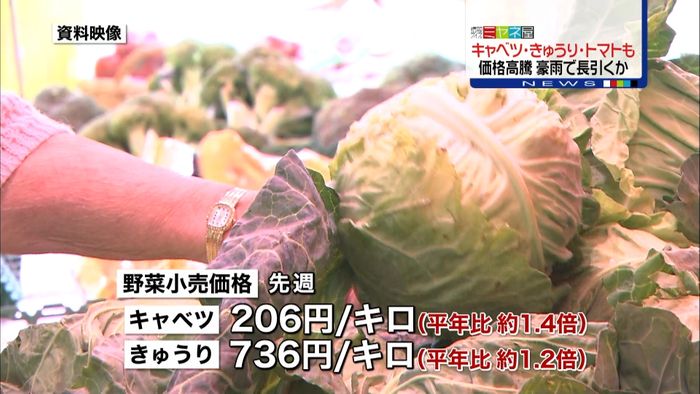 キャベツやキュウリが高騰~農水省緊急調査