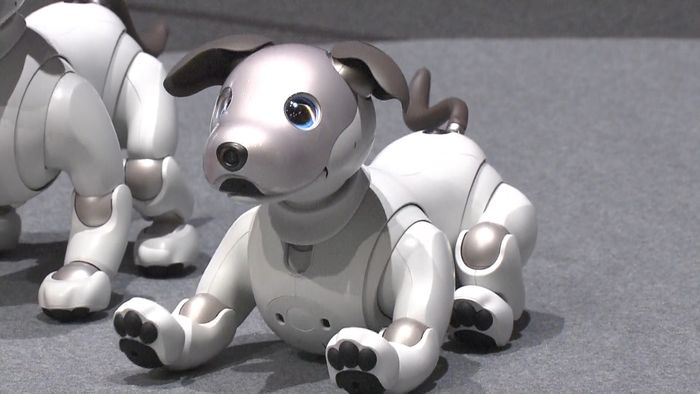 犬型ロボット「アイボ」12年ぶり新作発表