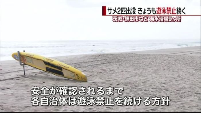 サメ目撃 茨城・鉾田市などで遊泳禁止続く