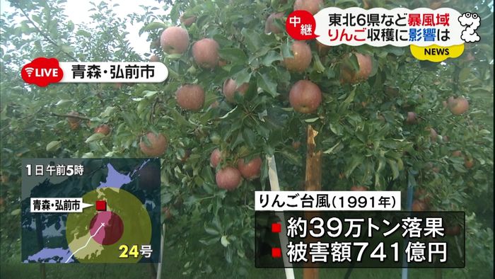 台風・東北６県が暴風域　リンゴへの影響は