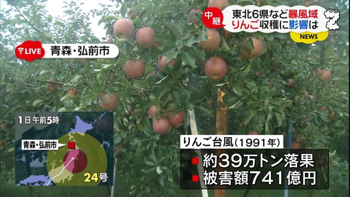 台風・東北6県が暴風域 リンゴへの影響は